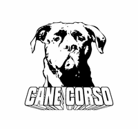 cane corso, dressage, education, alimentation